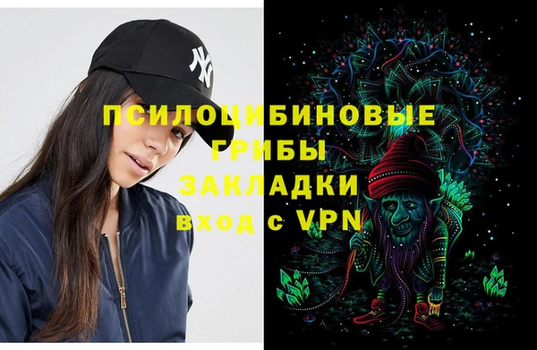 ПСИЛОЦИБИНОВЫЕ ГРИБЫ Абдулино