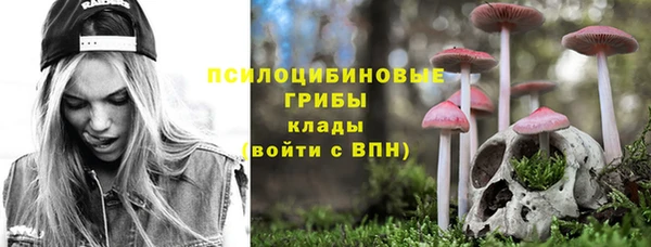 PSILOCYBIN Алексин