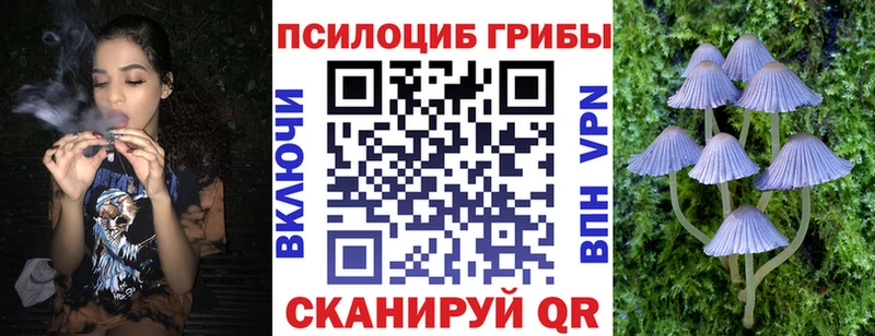цены   MEGA   Псилоцибиновые грибы Psilocybe  Ивангород 